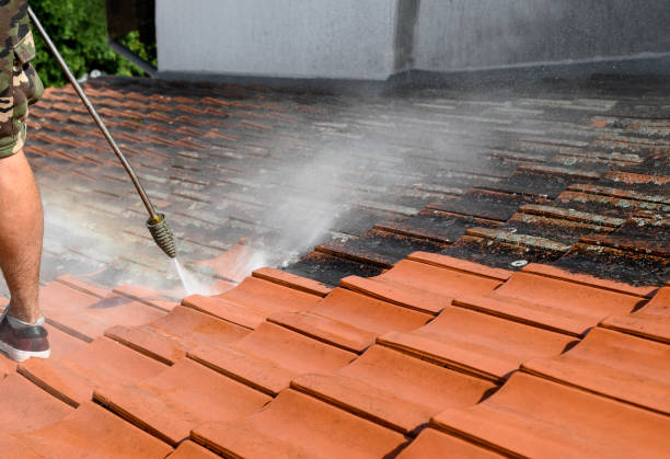Best Sidewalk Pressure Washing  in Kings Point, NY