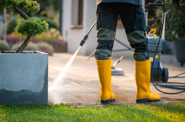 Best Best Pressure Washing Companies  in Kings Point, NY